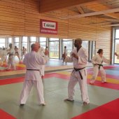 Stage de Ju-jitsu à Rosheim 24-03-2018